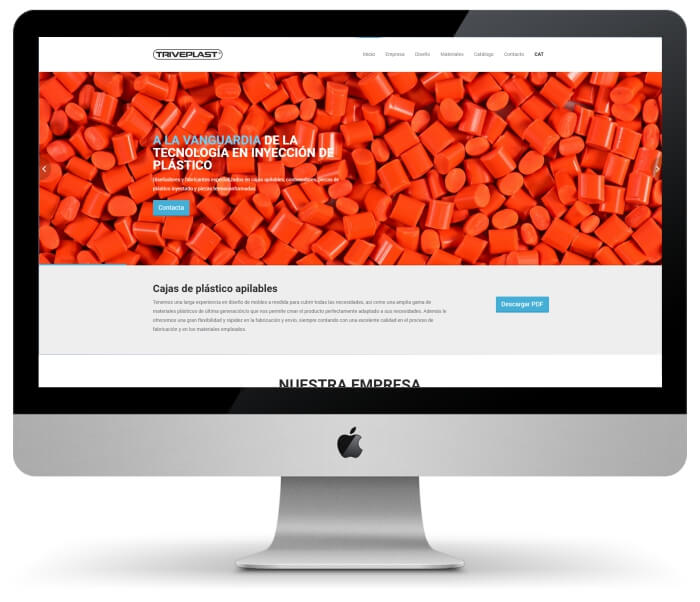 diseño páginas web